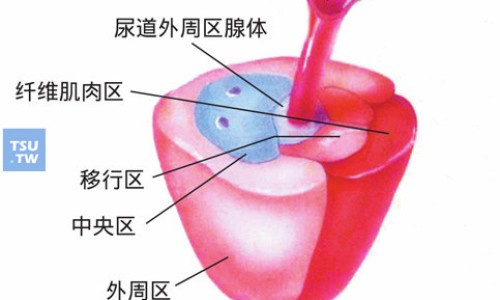 消糖平胶囊副作用大吗-消糖平胶囊副作用大不大、消糖片能降糖吗 -消糖平胶囊副作用网